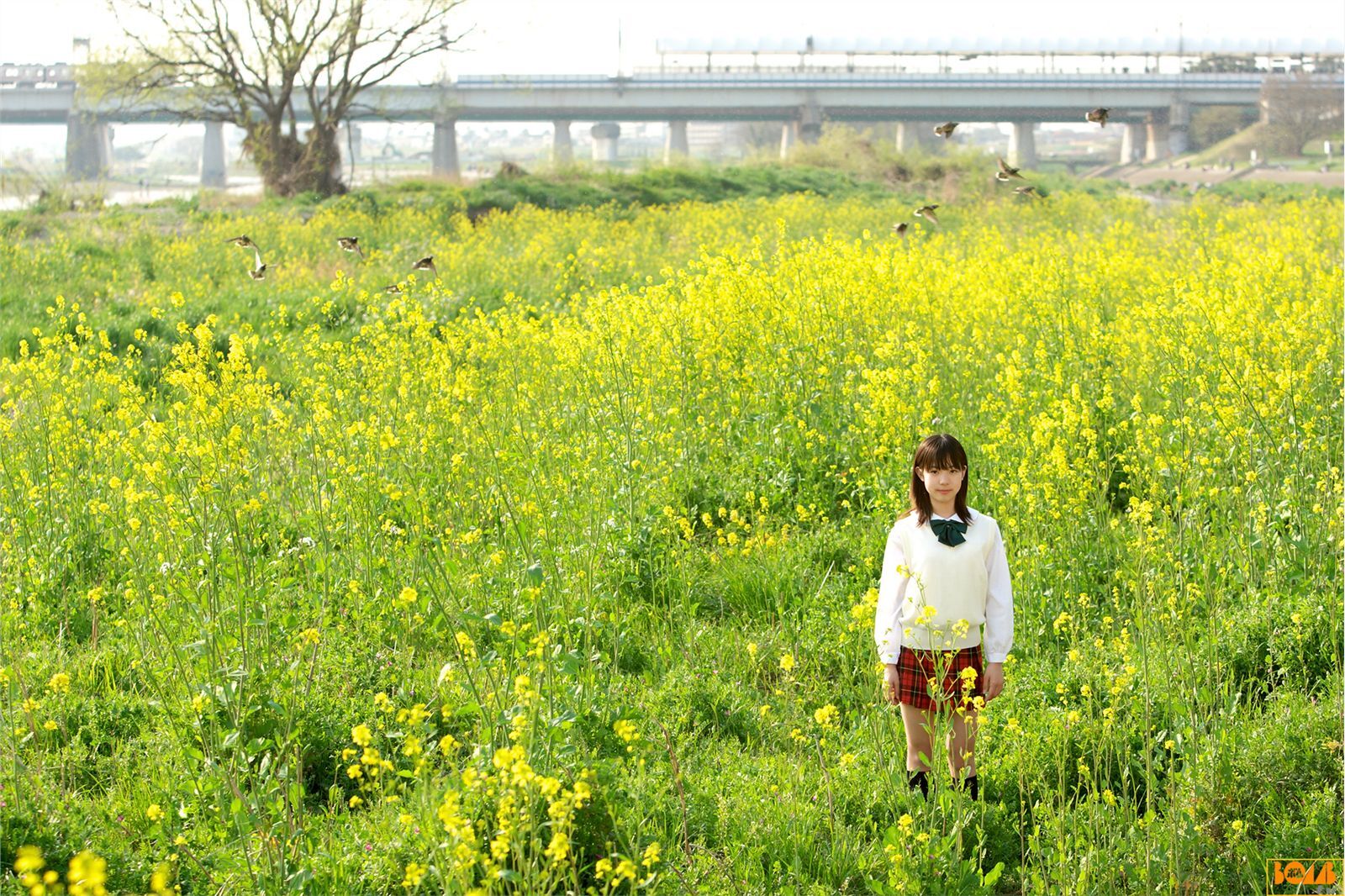 Nanako Niimi 新実菜々子 Bomb.tv 日本高清套图